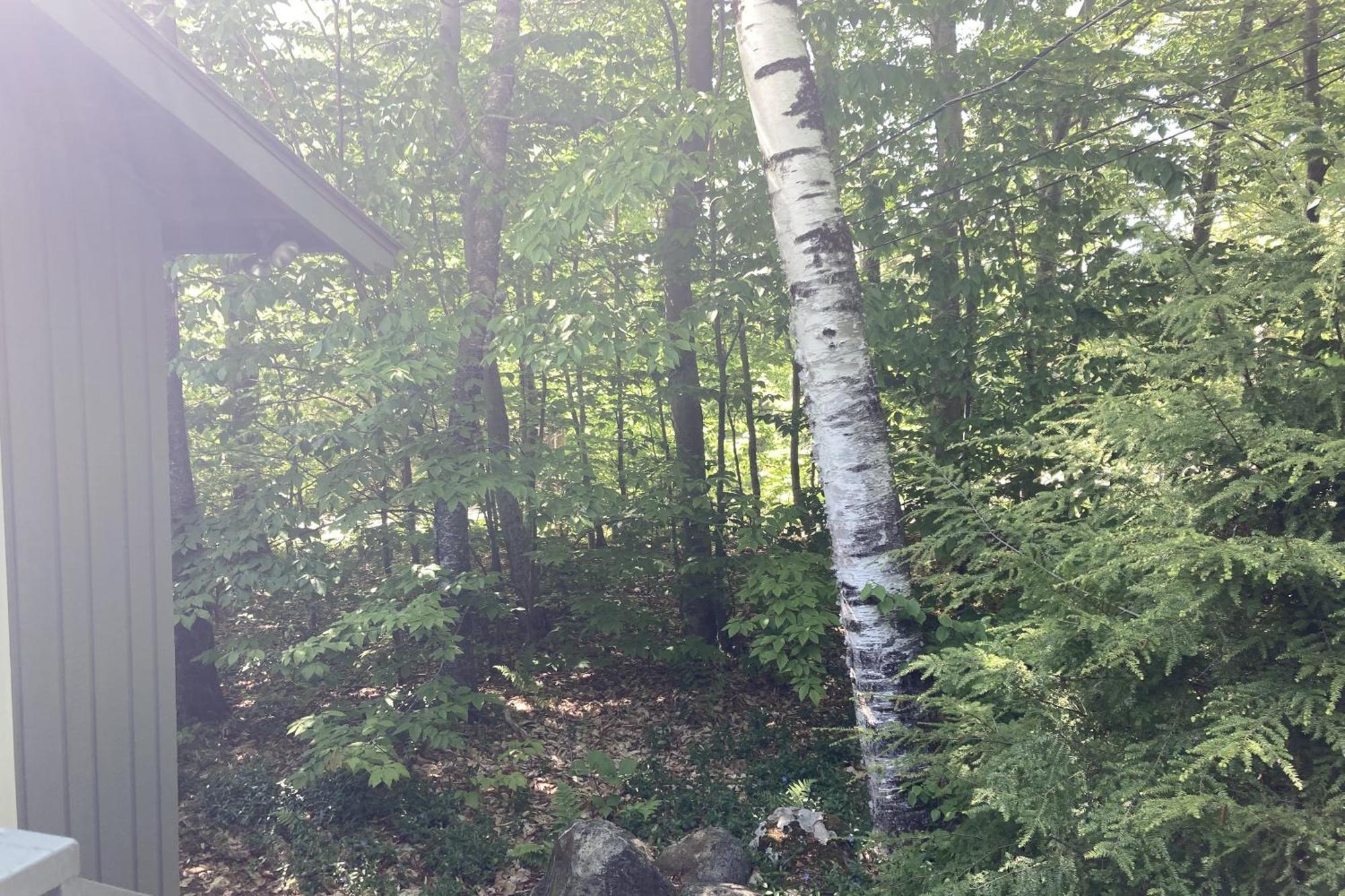 Snowflake Cabin Barnumville Bagian luar foto